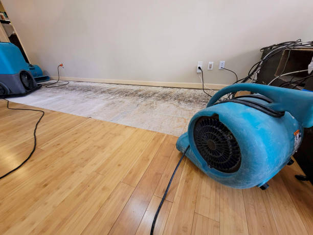 Professional Water Extraction technician working in Springdale, NJ